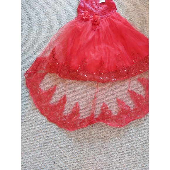 Girls size 18/160 Formal Christmas Dress,nwt - Picture 3 of 10